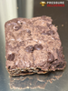 Chocolate Chip Brownie (500mg)