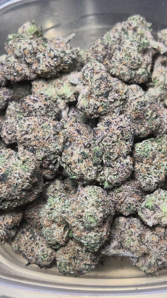 Biscotti Bliss (Hybrid)